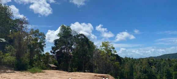  Commercial property in Wiang Sa, Thailand No. 14579 7