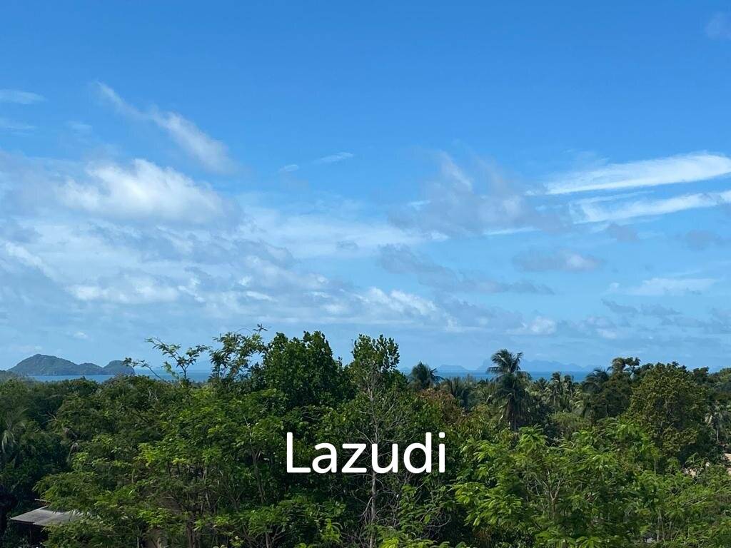  Commercial property in Wiang Sa, Thailand No. 14579