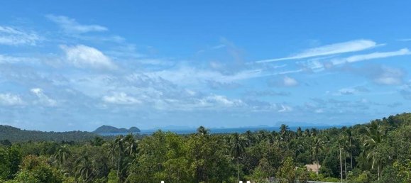  Commercial property in Wiang Sa, Thailand No. 14579 5