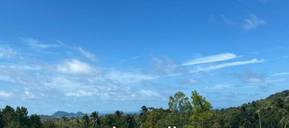  Commercial property in Wiang Sa, Thailand No. 14579 2