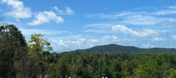  Commercial property in Wiang Sa, Thailand No. 14579 6