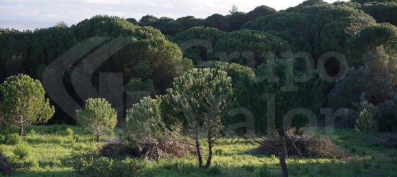7920m² Land in Vialonga, Portugal No. 80855 3