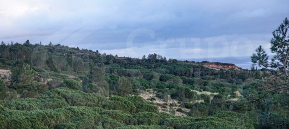 7920m² Land in Vialonga, Portugal No. 80855 4