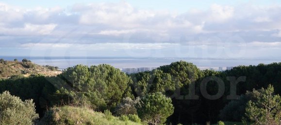 7920m² Land in Vialonga, Portugal No. 80855 2