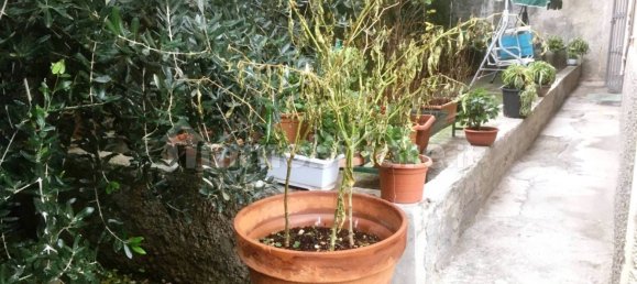 1 bedroom Apartment in Genoa, Italy No. 35865 2