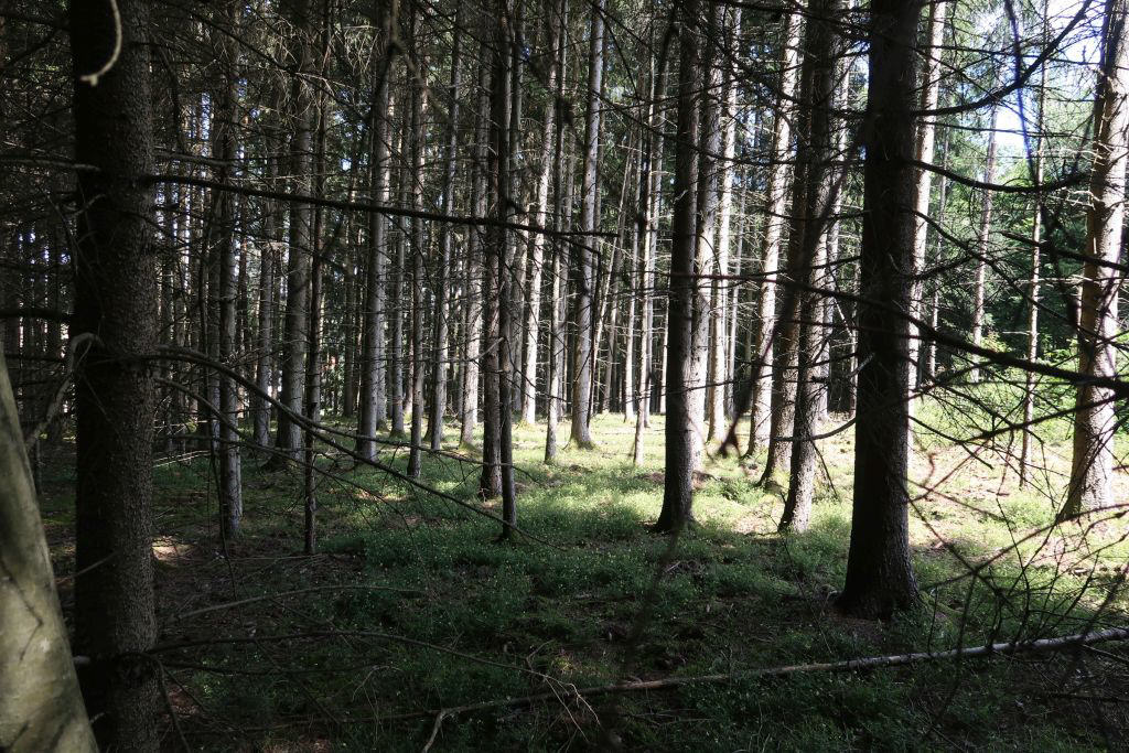 Terrain à Dingolfing-Landau, Germany No. 317475