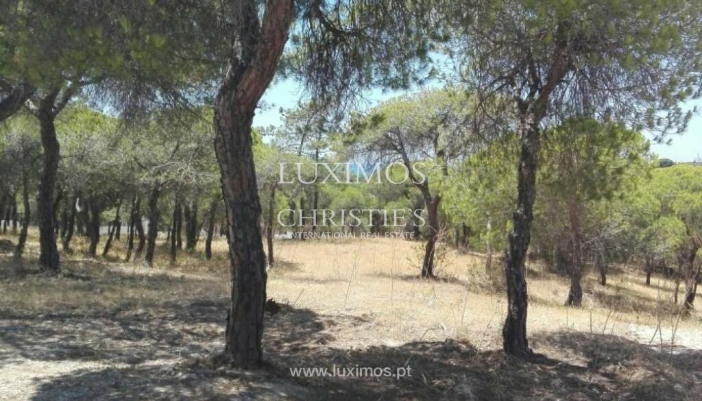 Terrain à Almancil, Portugal 960m² No. 109136
