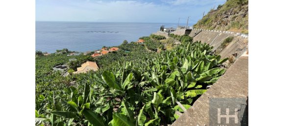 2295m² Land in Calheta, Portugal No. 141008 5