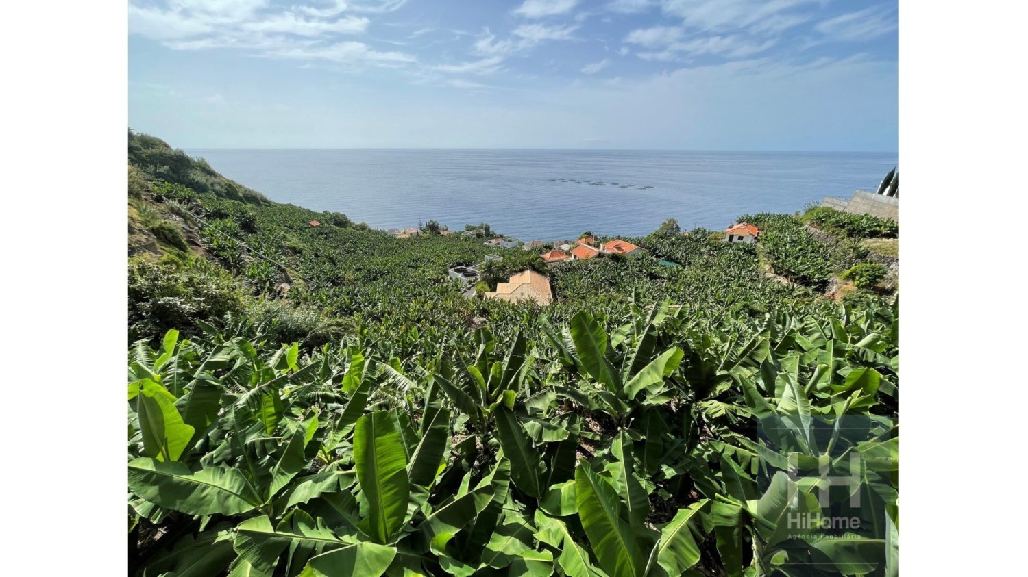 2295m² Land in Calheta, Portugal No. 141008