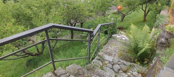 6-Zimmer Villa in Fontanigorda, Italy, Nr. 264323 10