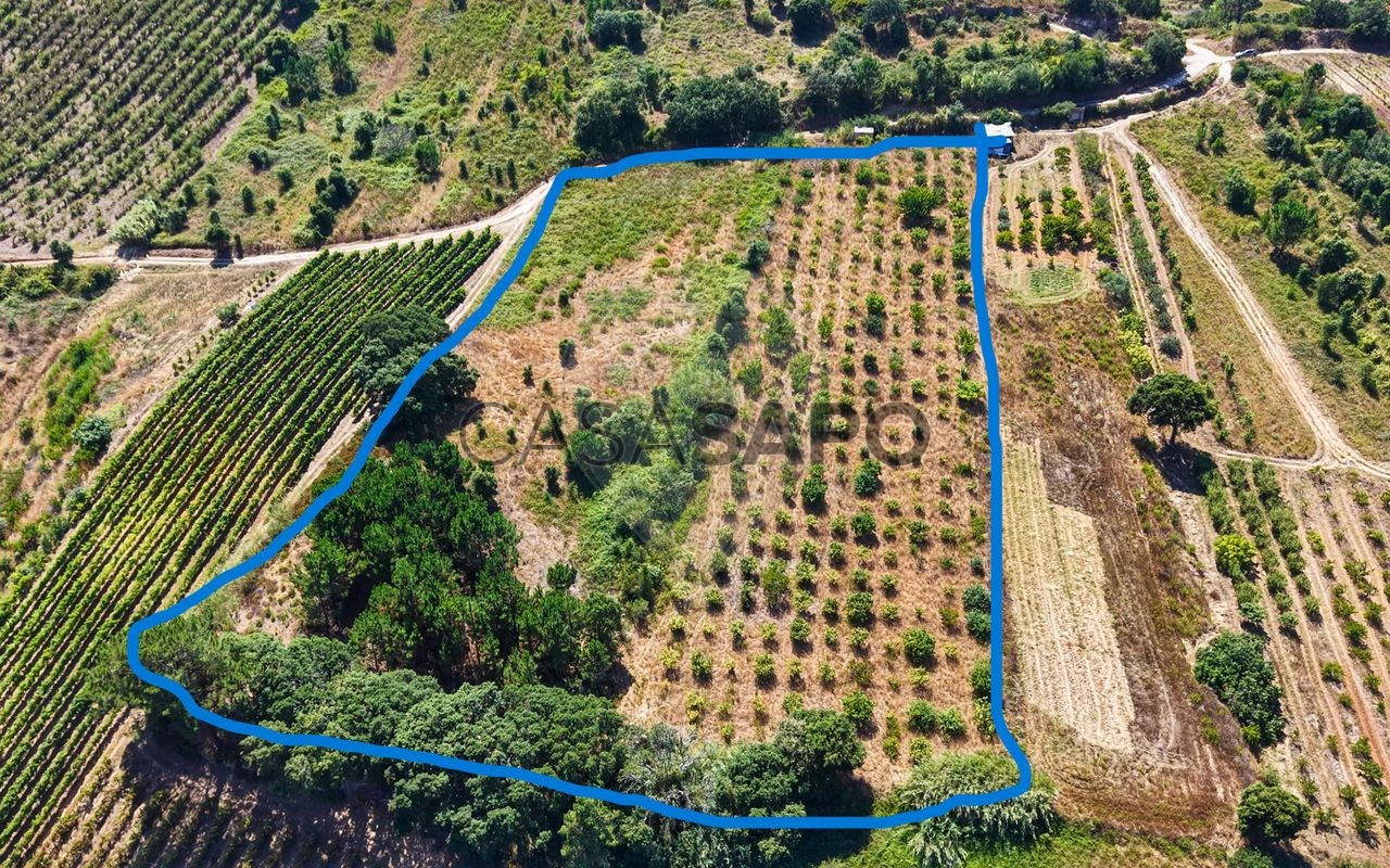 Terreno em Torres Vedras, Portugal N.º 281570