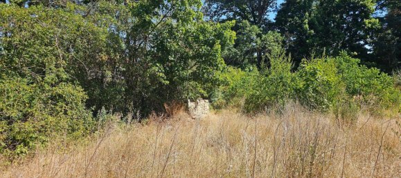  Land in Markisch-Oderland, Germany No. 278102 6