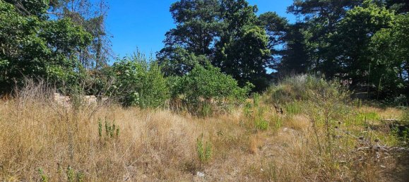  Land in Markisch-Oderland, Germany No. 278102 2