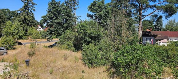  Land in Markisch-Oderland, Germany No. 278102 3