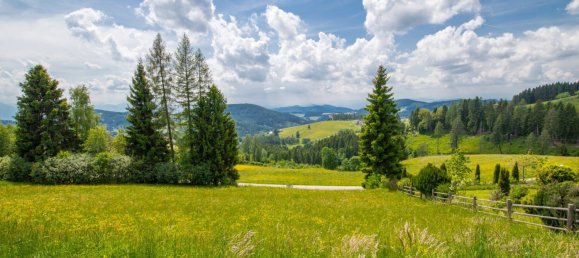 Terreno en Volkermarkt, Austria No. 128817 9
