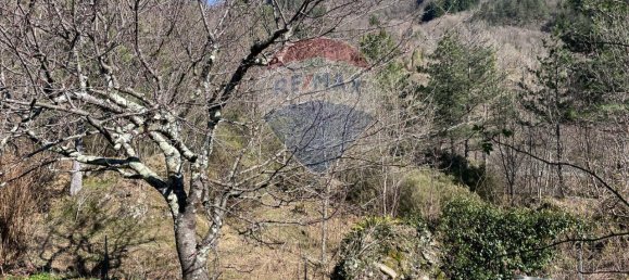 2 rooms Apartment in Borzonasca, Italy No. 38724 39