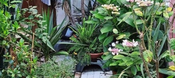 7 rooms House in Pisa, Italy No. 203119 10