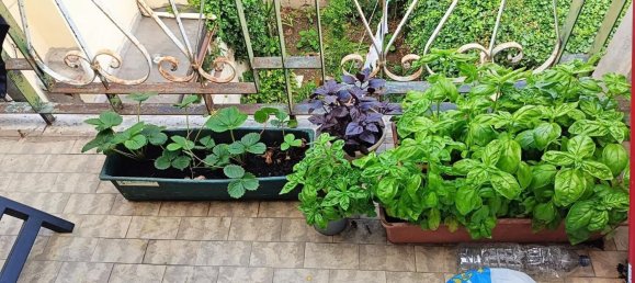 7 rooms House in Pisa, Italy No. 203119 7