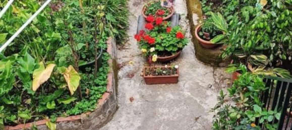 7 rooms House in Pisa, Italy No. 203119 20