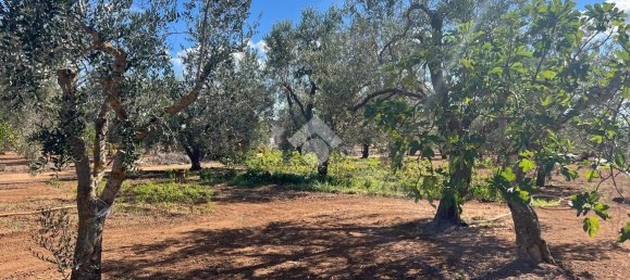 3-Zimmer Villa in Oria, Italy, Nr. 27945 35