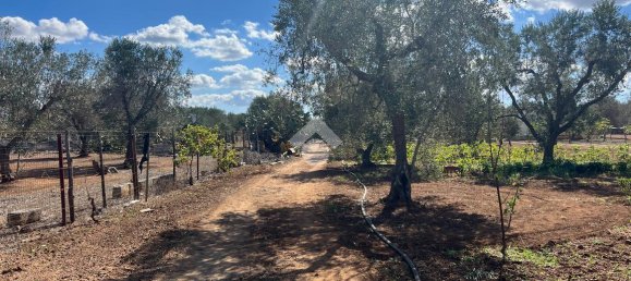 3-Zimmer Villa in Oria, Italy, Nr. 27945 34