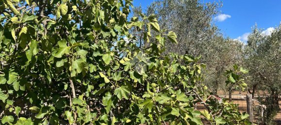 3-Zimmer Villa in Oria, Italy, Nr. 27945 37