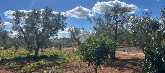 3-Zimmer Villa in Oria, Italy, Nr. 27945 36