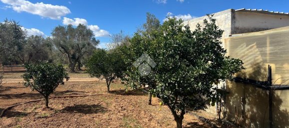 3-Zimmer Villa in Oria, Italy, Nr. 27945 32