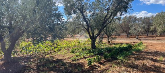 3-Zimmer Villa in Oria, Italy, Nr. 27945 31