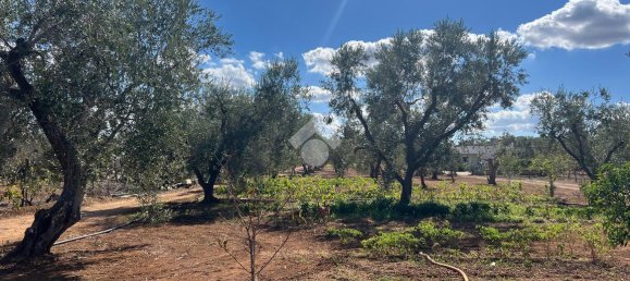 3-Zimmer Villa in Oria, Italy, Nr. 27945 33