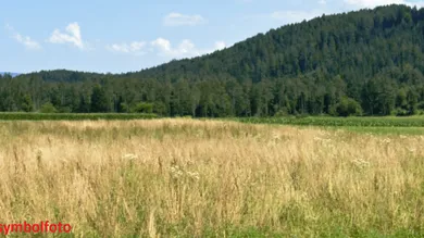 Terreno en Globasnitz, Austria No. 239270