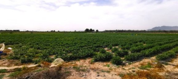 Земельный участок 315м² в Альбатера, Испания № 109456 11