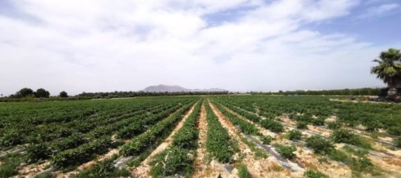 Земельный участок 315м² в Альбатера, Испания № 109456 13