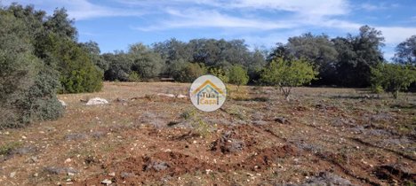 Grundstück in Sao Bras de Alportel, Portugal 16500m², Nr. 76032
