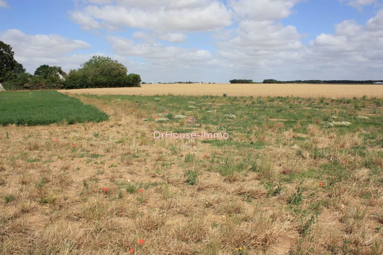  Land in Nemours, France No. 166306