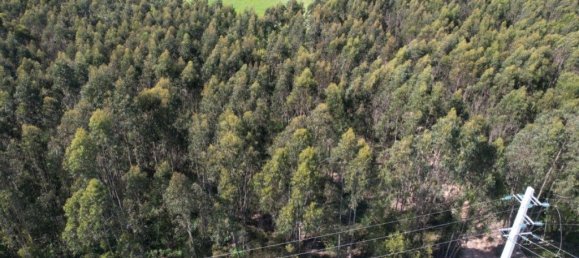 Grundstück in Torres Vedras, Portugal 104920m², Nr. 355504 6