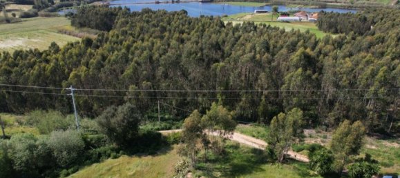 Grundstück in Torres Vedras, Portugal 104920m², Nr. 355504 3