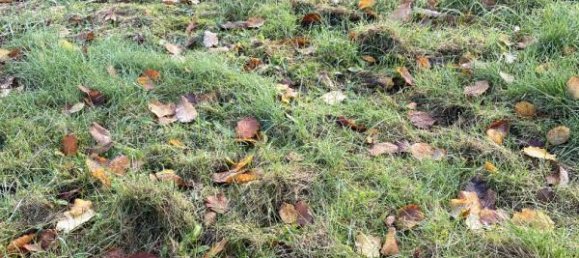 3 bedrooms House in Nogent-le-Roi, France No. 55742 8