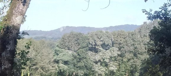 2 غرف نوم منزل في Plougonven, France رقم 16973 11