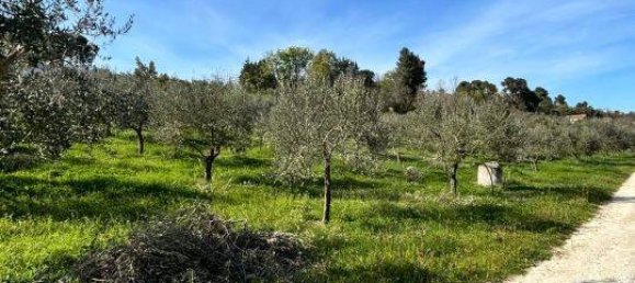 Villa T3 em San Giovanni Teatino, Italy N.º 278905 48