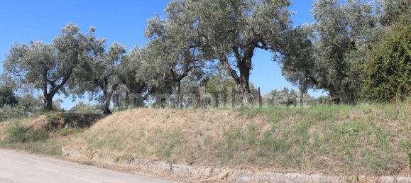 Terreno em Melizzano, Italy 2690 m² N.º 302232 13