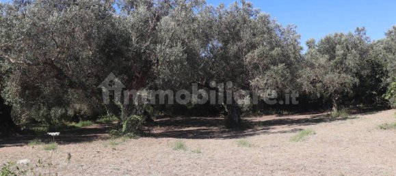 Terreno em Melizzano, Italy 2690 m² N.º 302232 6