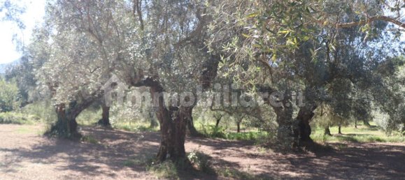 Terreno em Melizzano, Italy 2690 m² N.º 302232 10