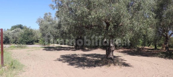 Terreno em Melizzano, Italy 2690 m² N.º 302232 15