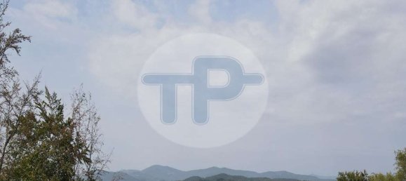 6 rooms Bungalow in Passau, Germany No. 163673 7