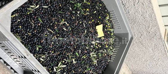 Villa T12 em Cortona, Italy N.º 44556 49