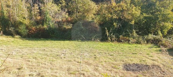 1470m² Land in Marco de Canaveses, Portugal No. 45016 5