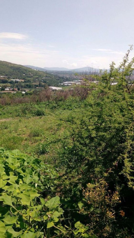 Terreno en Tonatico, Mexico No. 204731