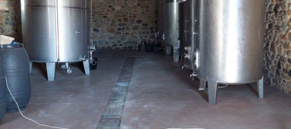 Коммерческая недвижимость 605м² в Тораль де лос Вадос, Испания № 86601 35