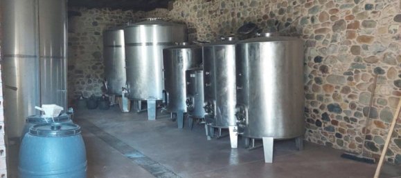 Коммерческая недвижимость 605м² в Тораль де лос Вадос, Испания № 86601 10